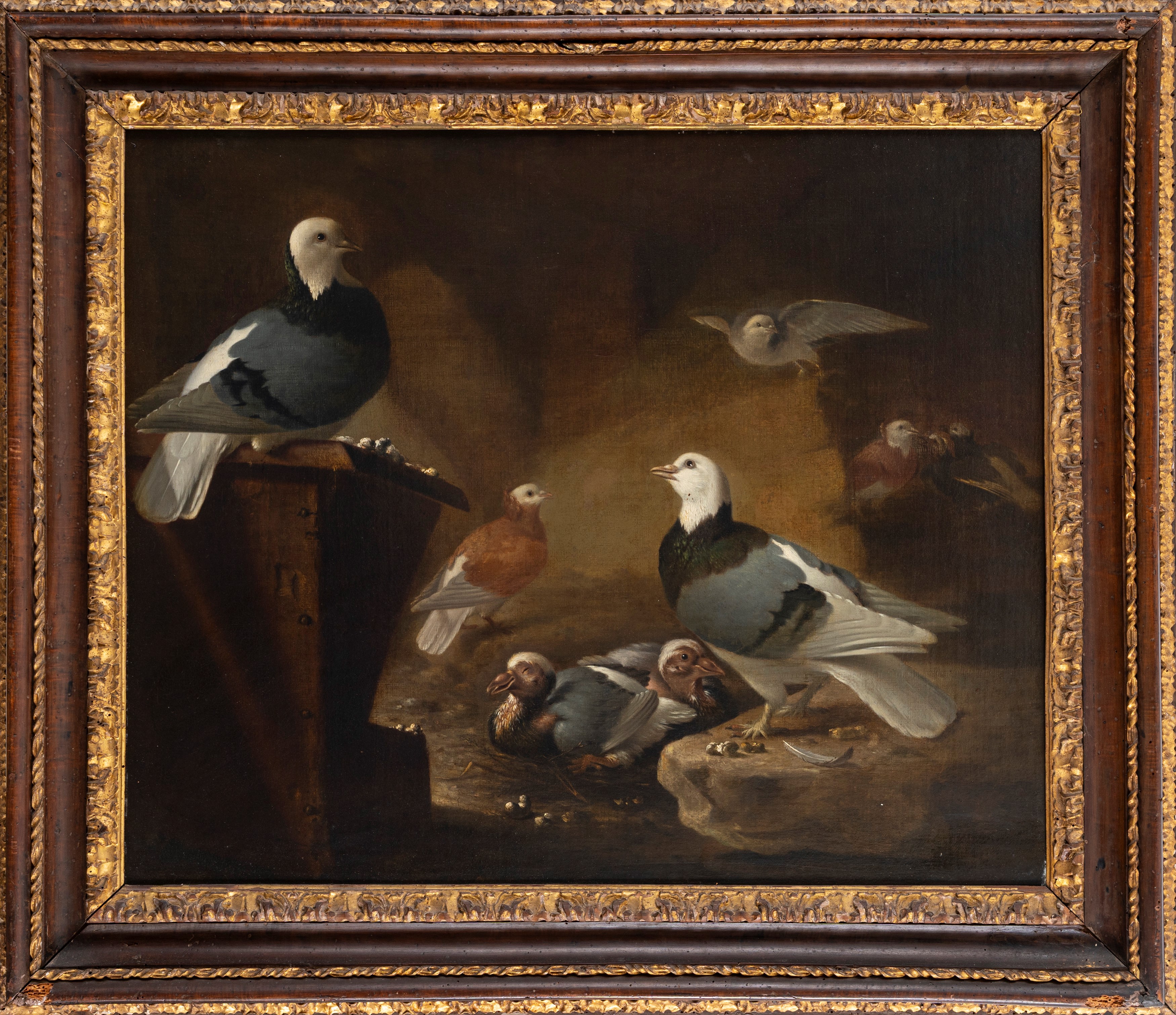 Wouter Uytter-limmige - Piccioni in un interno, olio su tela