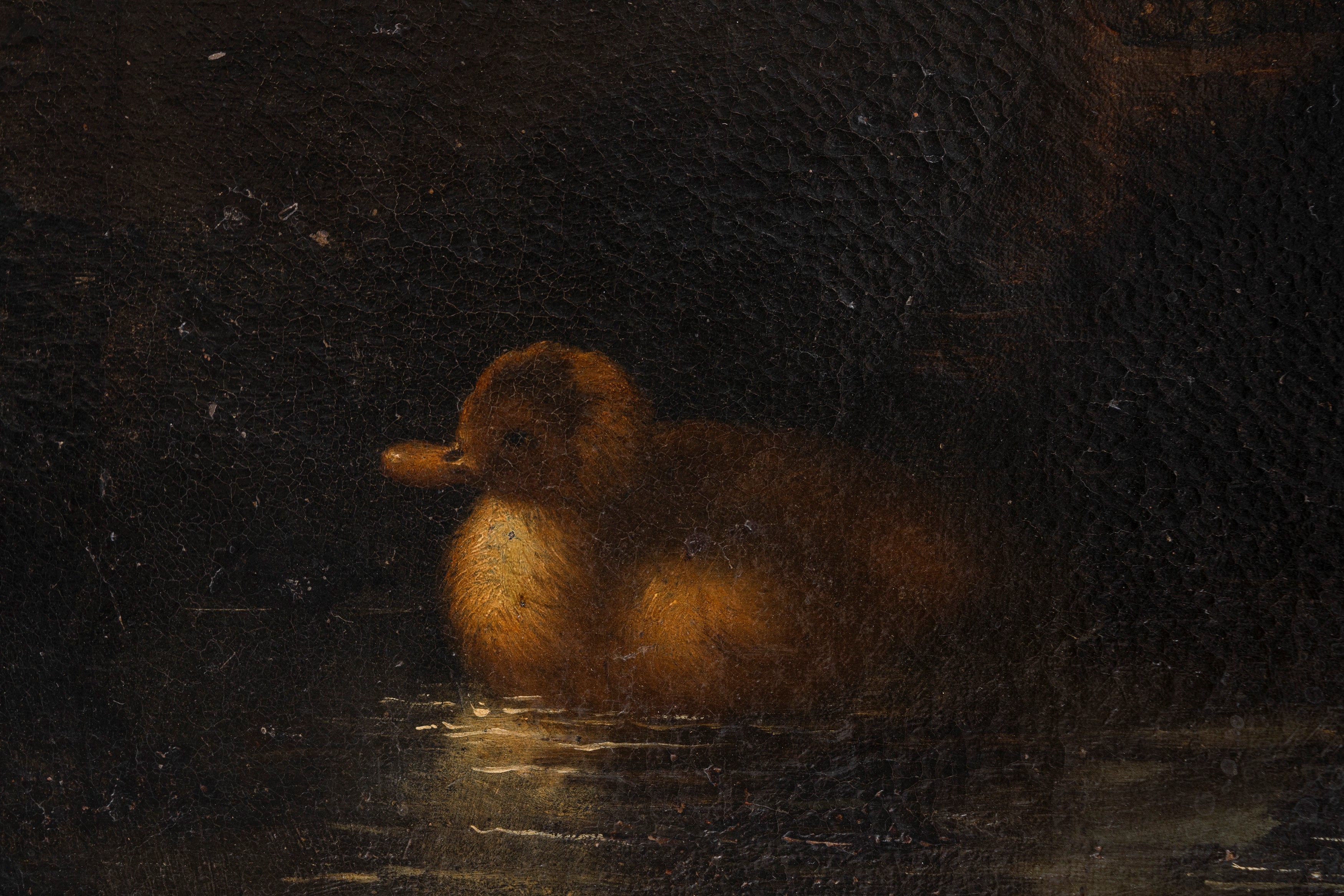 Elena Recco - Trionfo di pescato, olio su tela