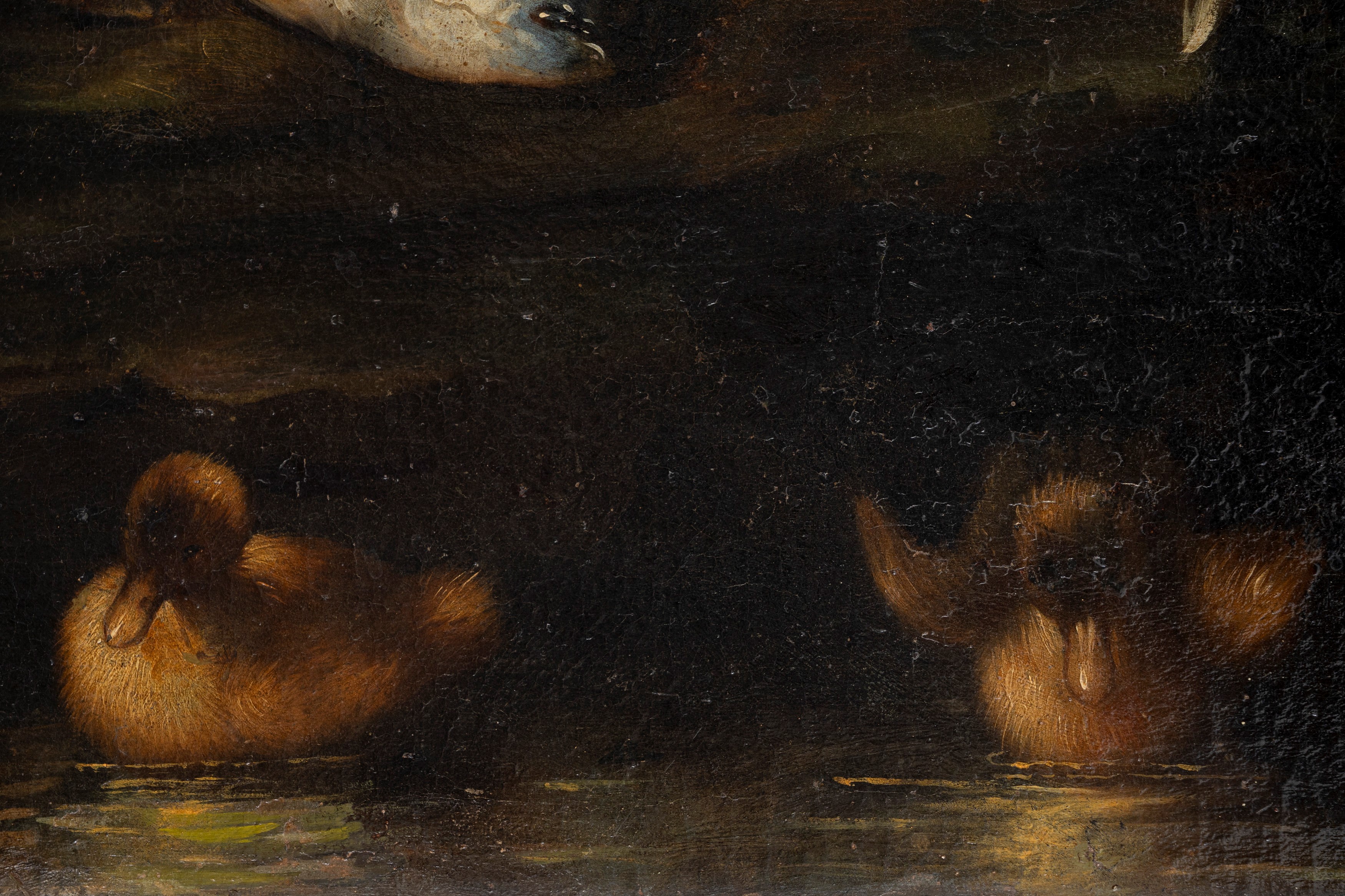 Elena Recco - Trionfo di pescato, olio su tela