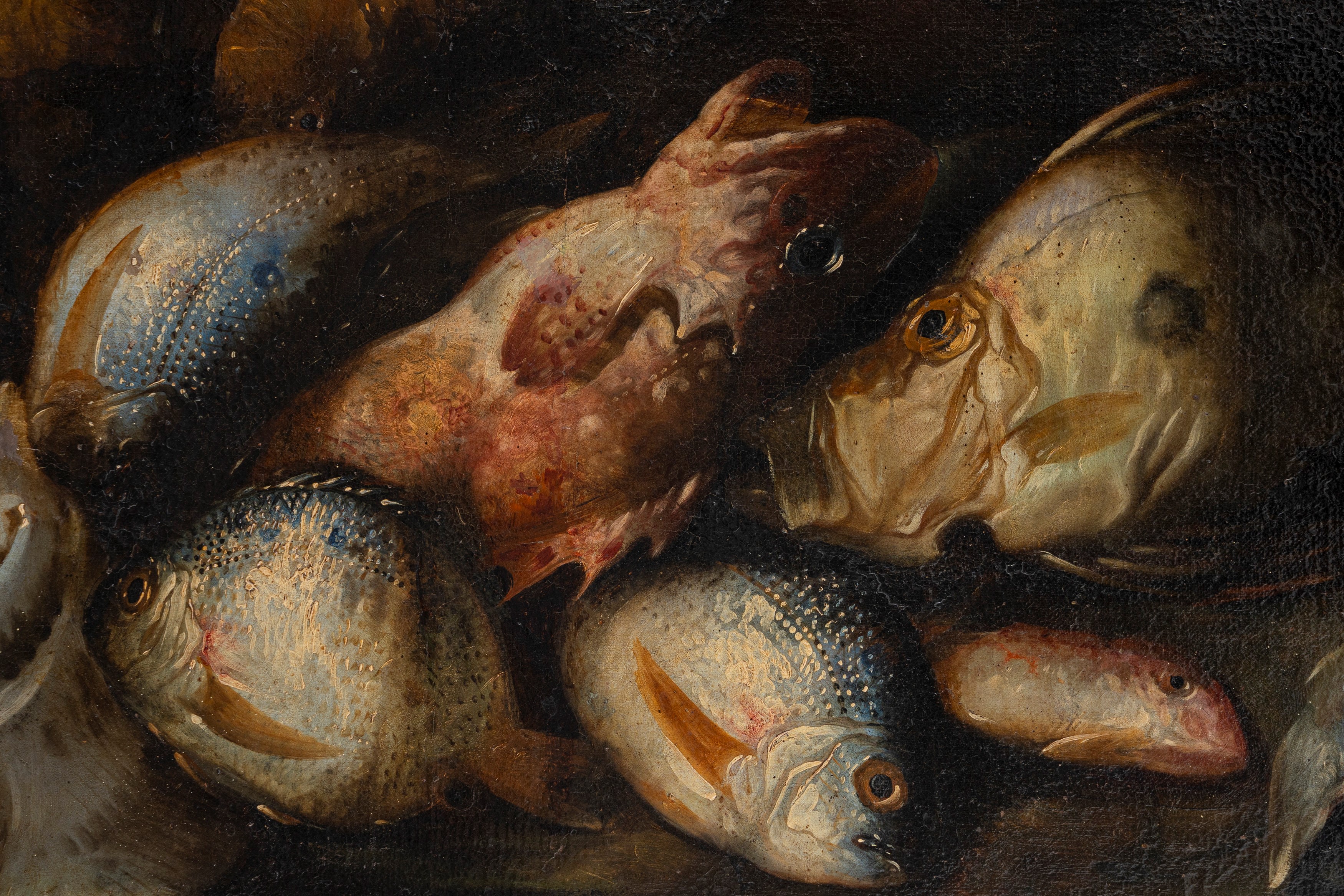 Elena Recco - Trionfo di pescato, olio su tela