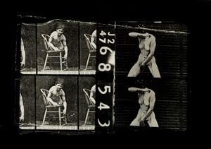 "L'assassino nudo" (Muybridge)