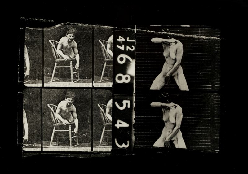 "L'assassino nudo" (Muybridge)