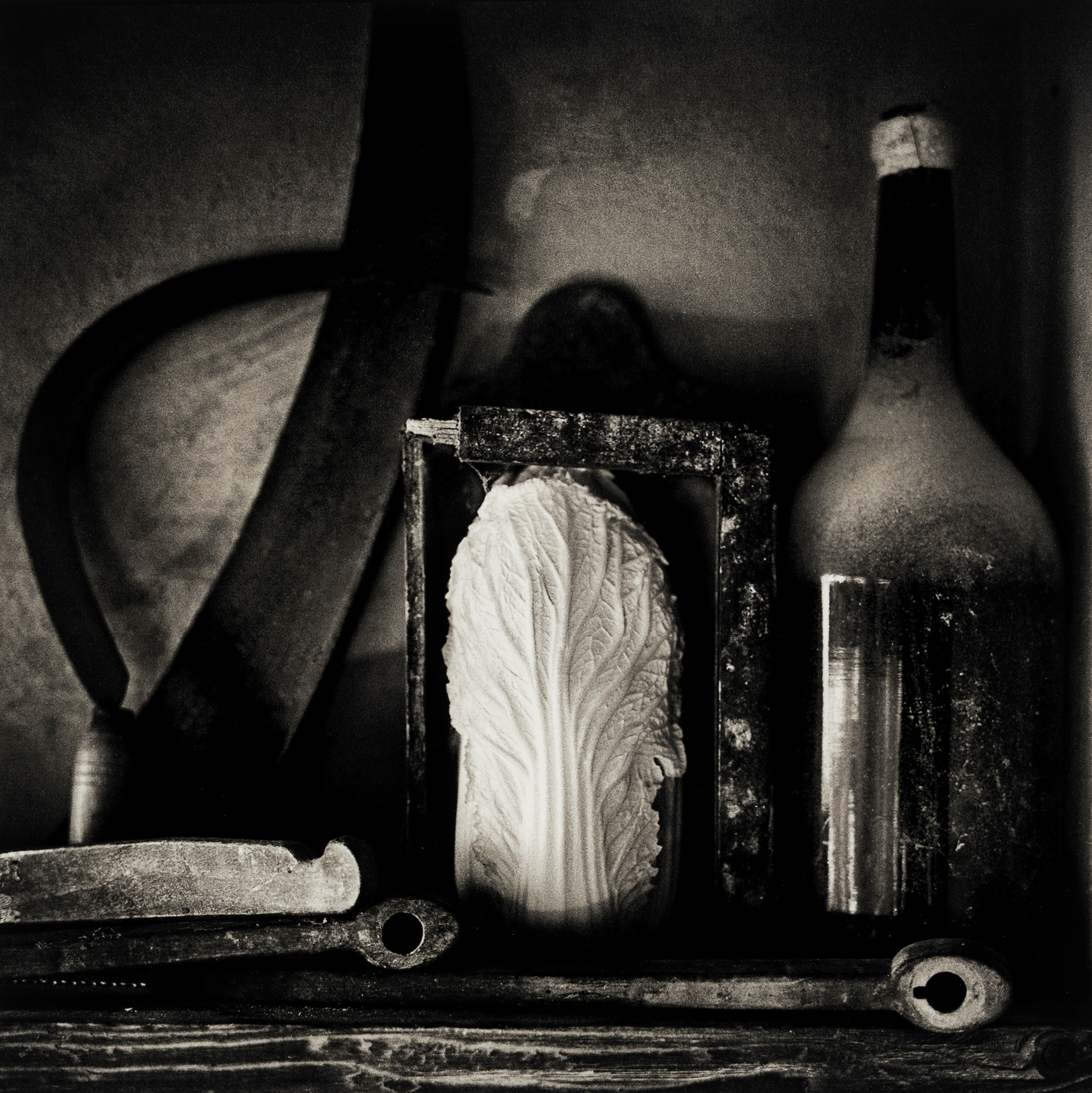 Portfolio "10 Fotografie"