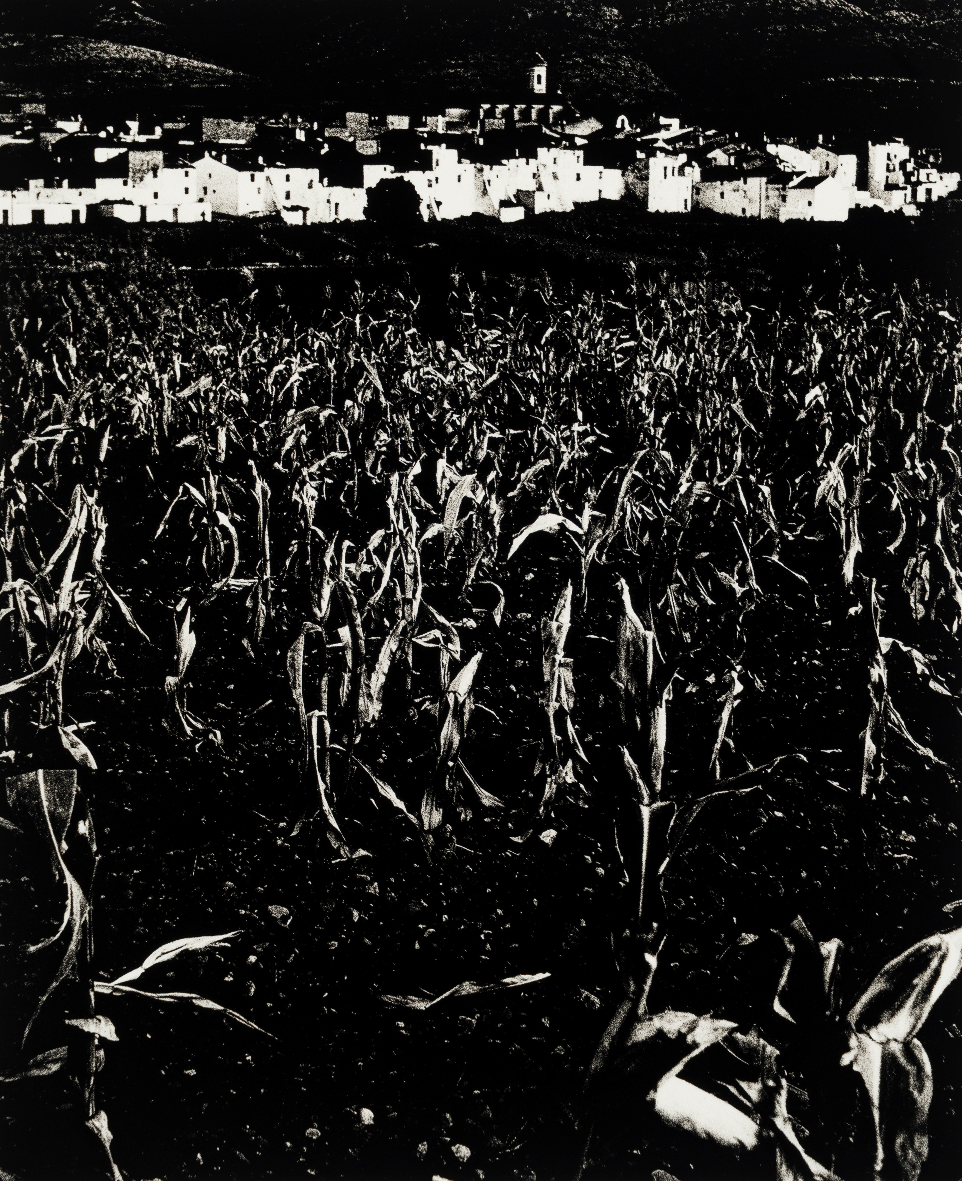 Portfolio "10 Fotografie"