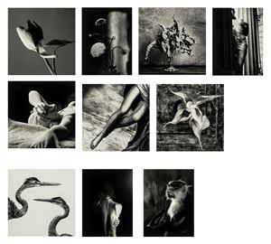 Portfolio "10 Fotografie"