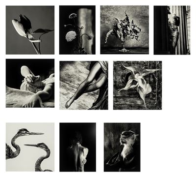 Portfolio '10 Fotografie' - Dieci stampe a getto d'inchiostro