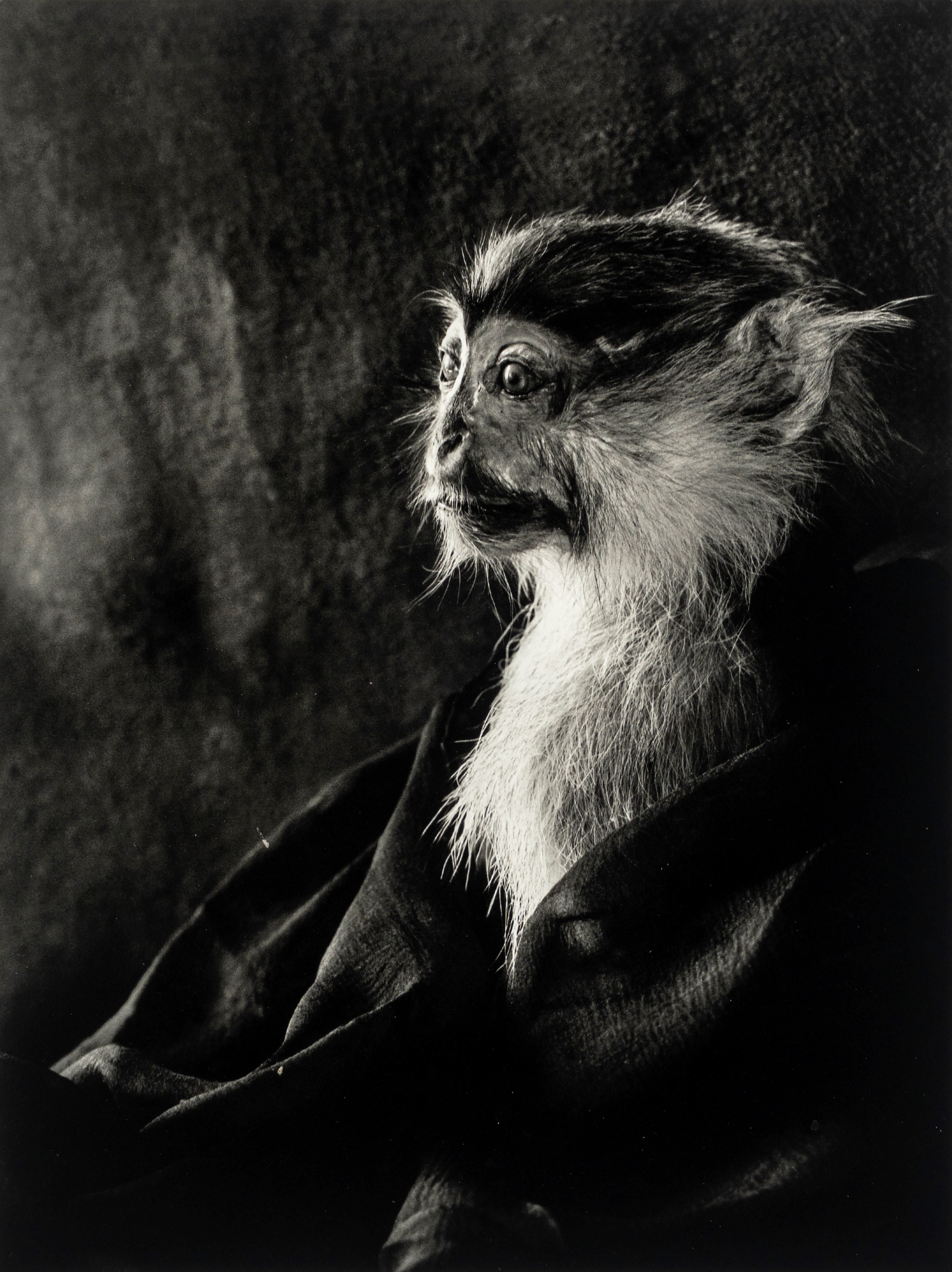 Nanda Lanfranco - Portfolio '10 Fotografie' - Dieci stampe a getto d'inchiostro
