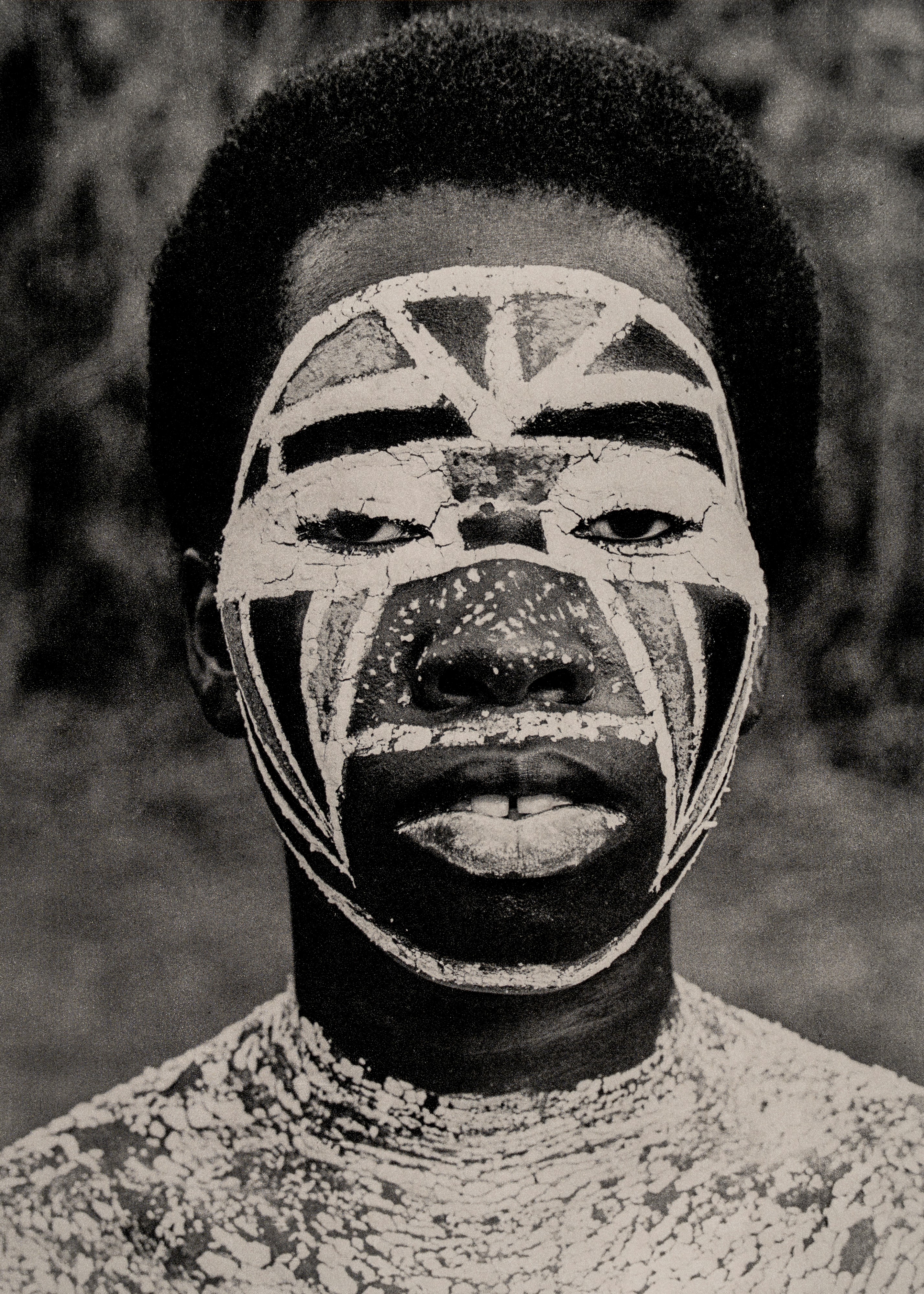 Fulvio Roiter - Electa Editrice Portfolios