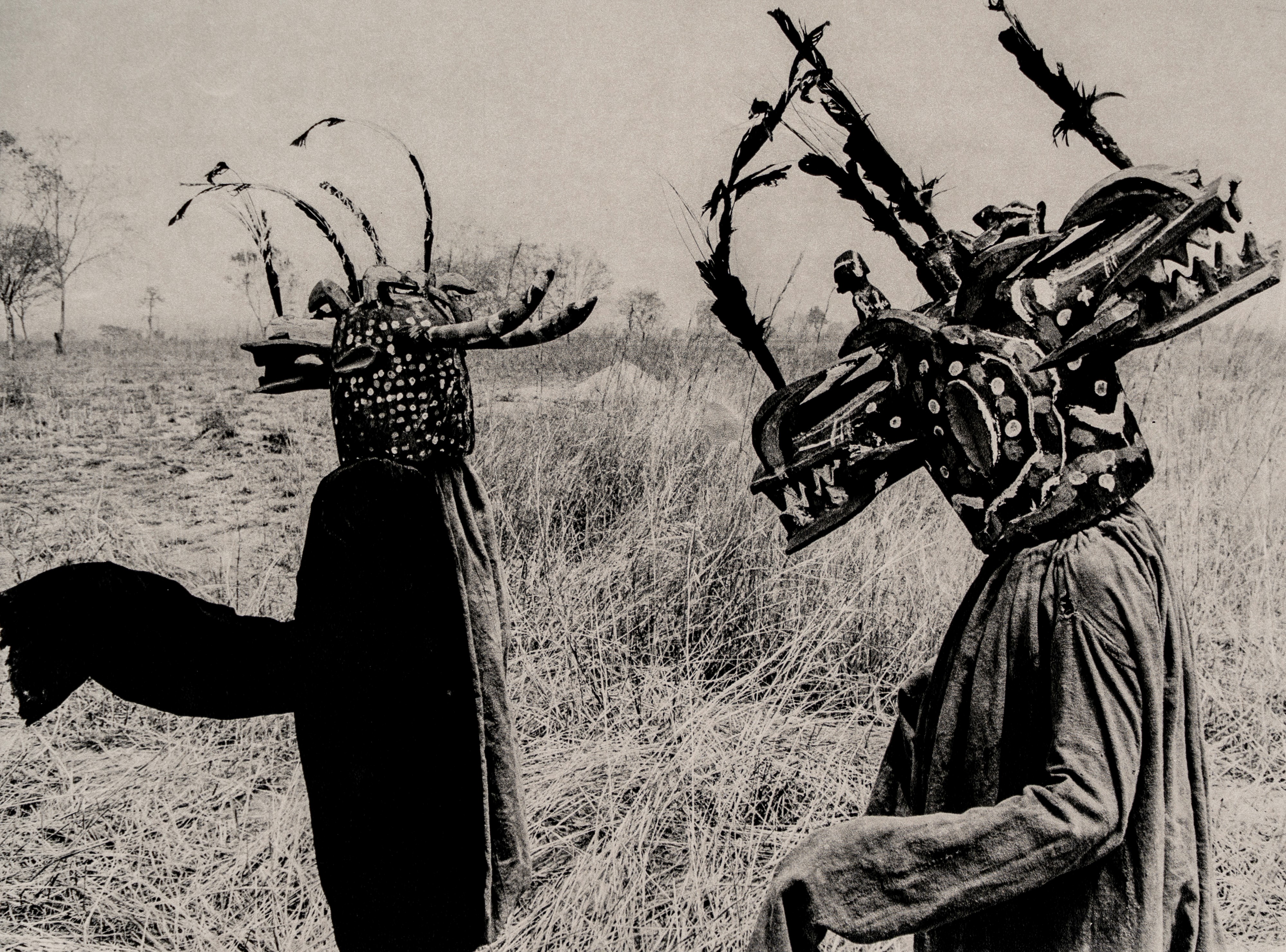 Fulvio Roiter - Electa Editrice Portfolios