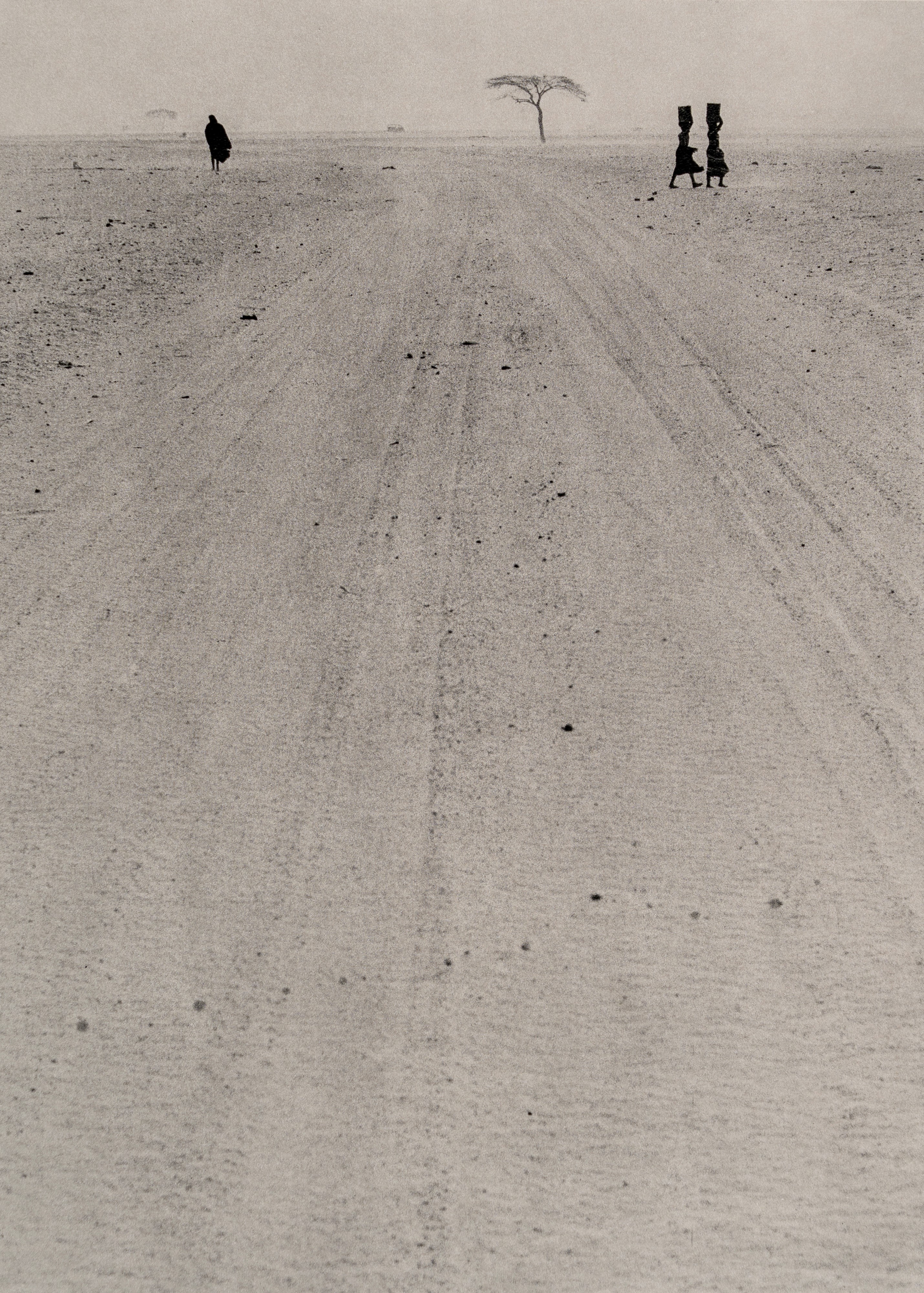 Fulvio Roiter - Electa Editrice Portfolios