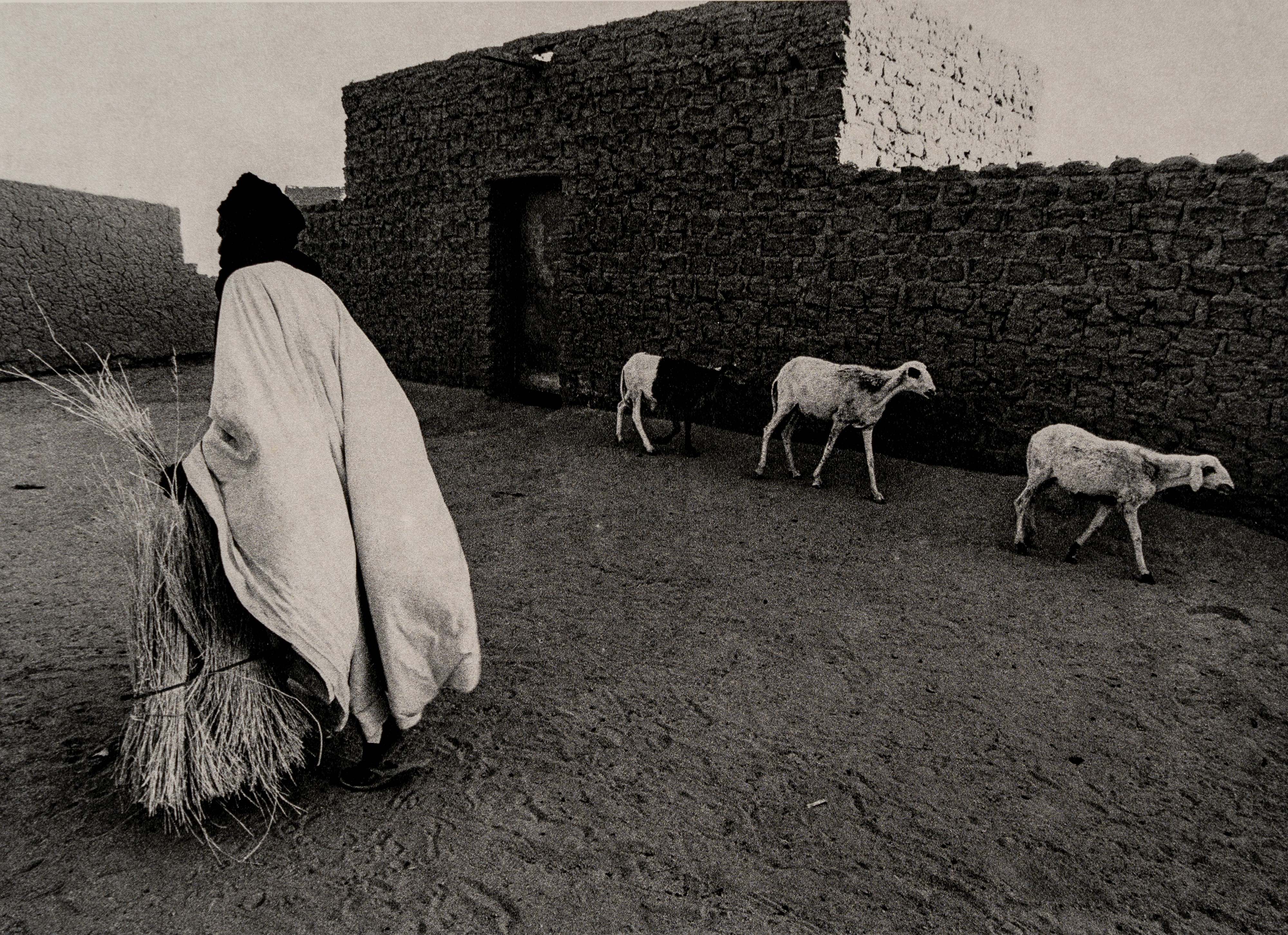 Fulvio Roiter - Electa Editrice Portfolios