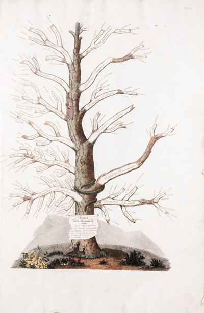 Clinica del Parigino Spedale di S. Luigi Ossia Trattato Compiuto delle Malattie della Pelle.