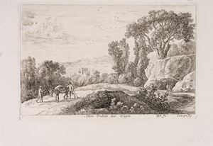 Il bosco ai bordi del ruscello