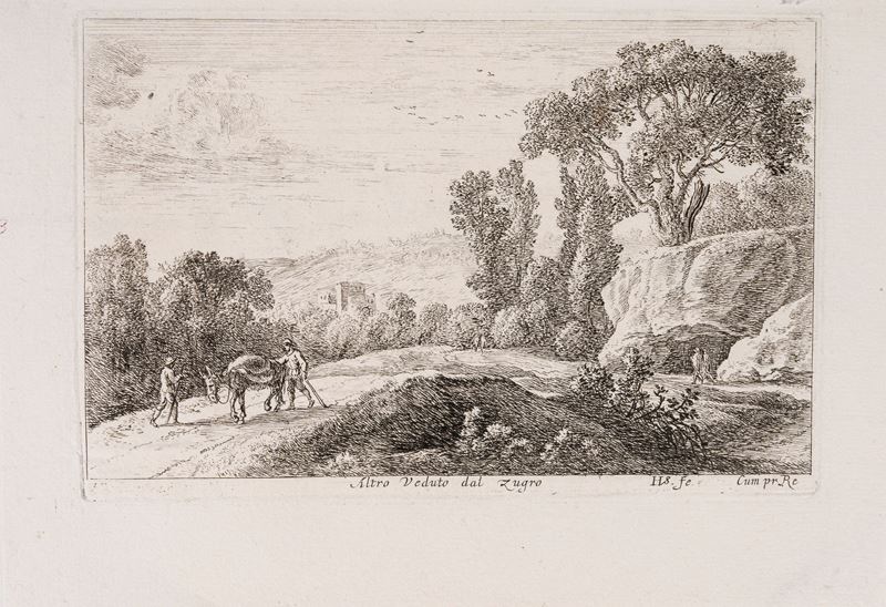 Il bosco ai bordi del ruscello