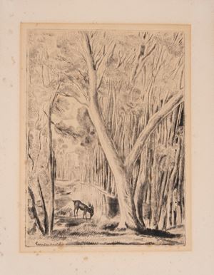 Paesaggio boschivo