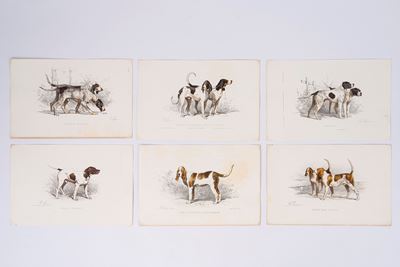Razze di cani da caccia