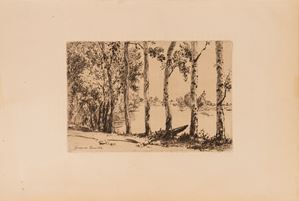 Paesaggio sul lago