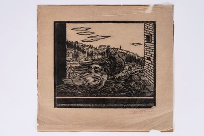 Uccelli alla finestra