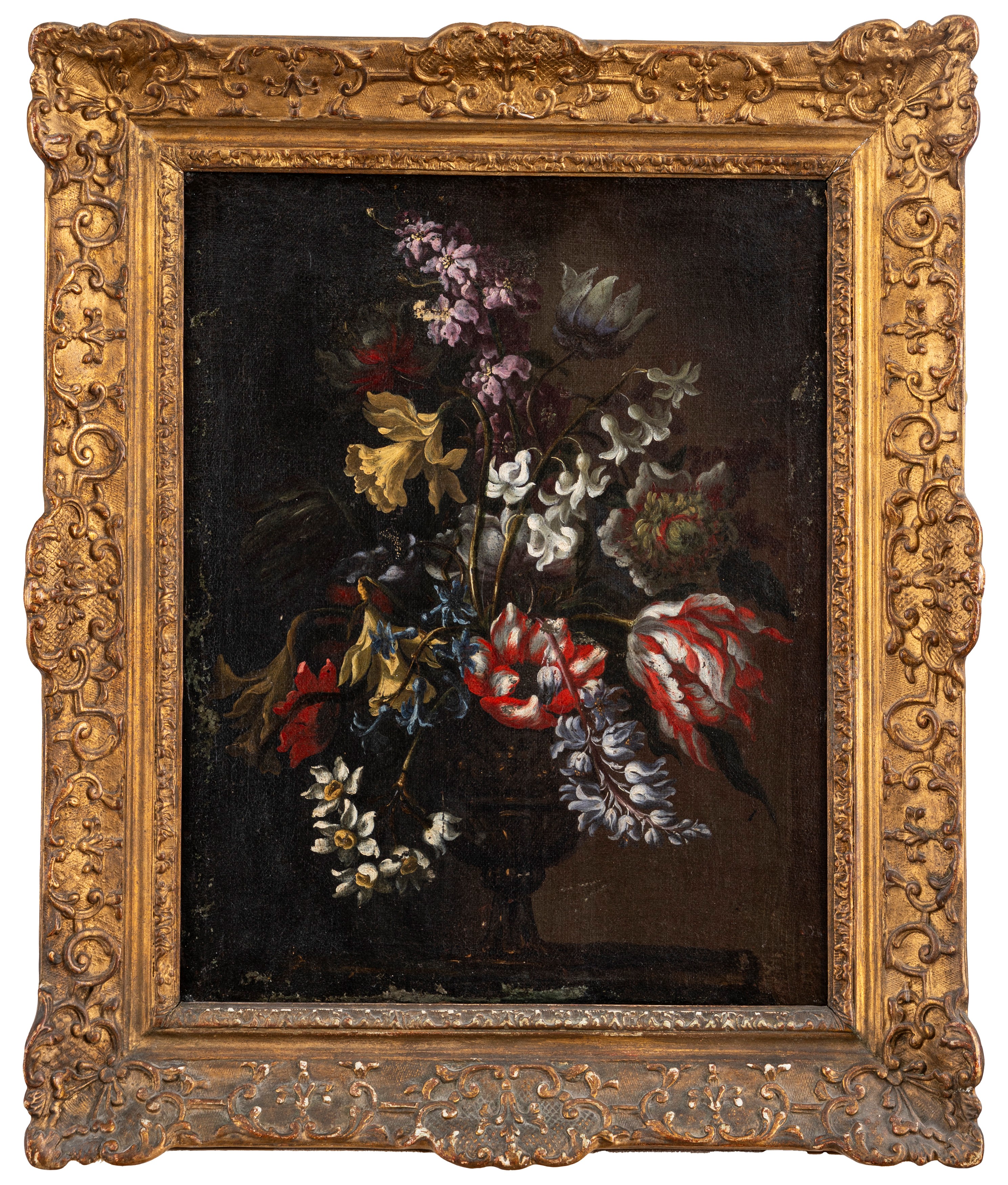 Scuola Romana, Secolo XVII - Dipinto floreale, Tulipani, narcisi, giunchiglie e giacinti in un va...