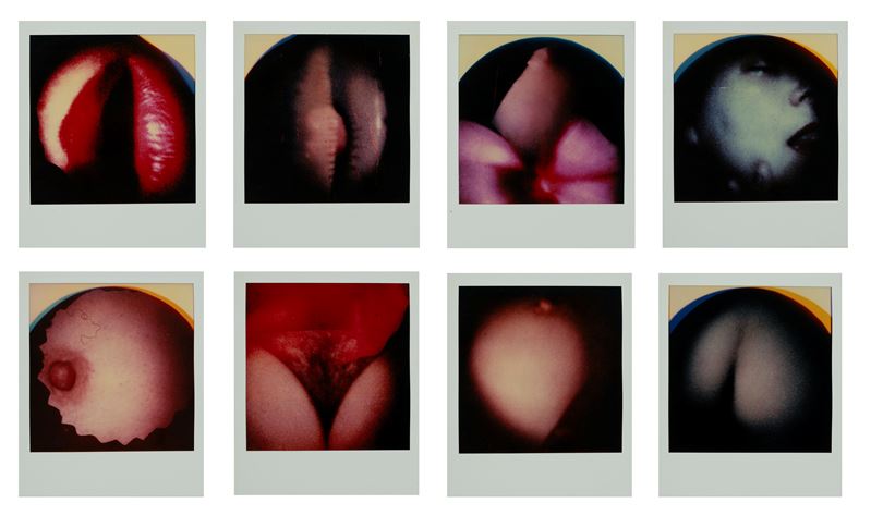 La conchiglia dissoluta