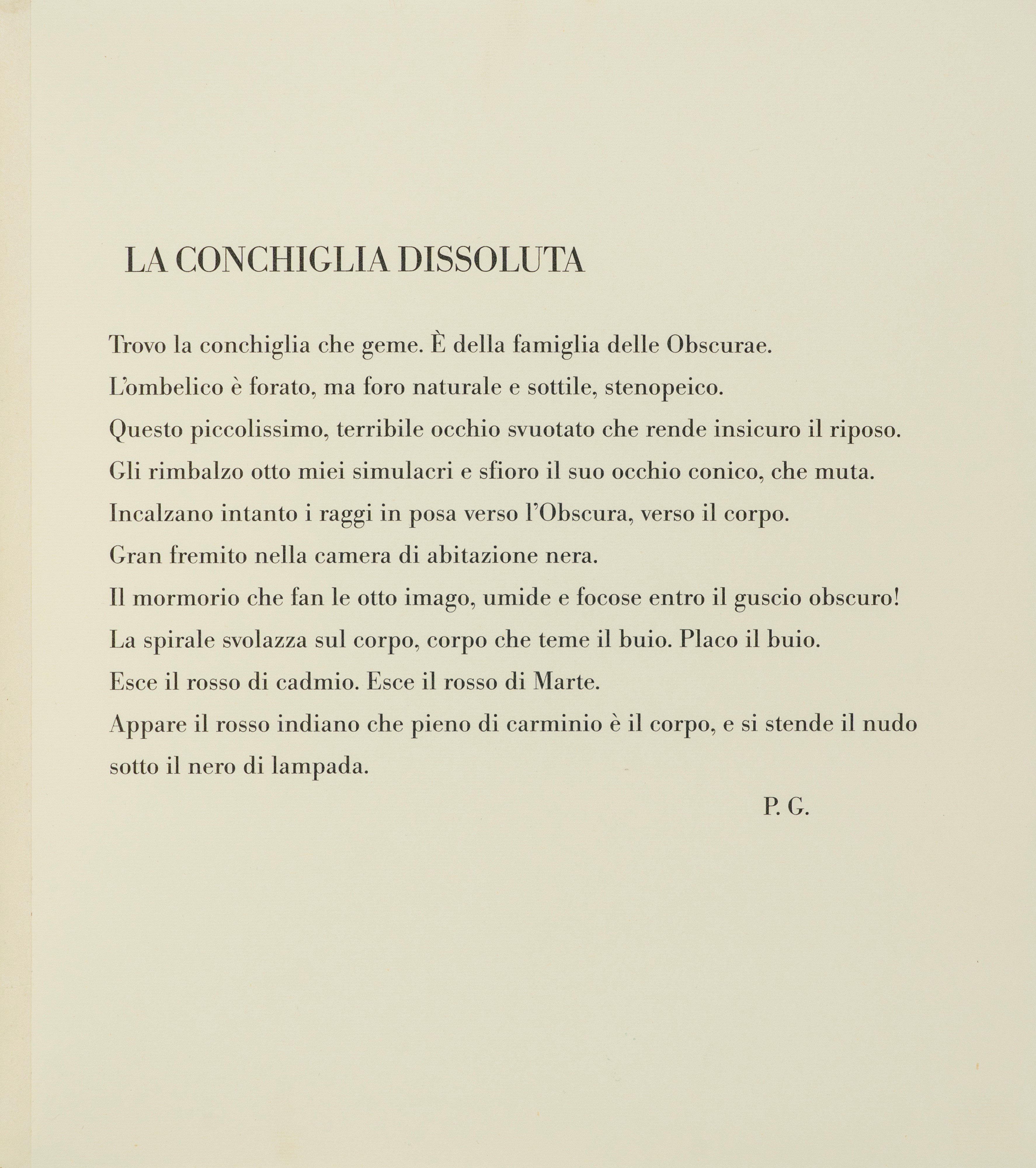 La conchiglia dissoluta