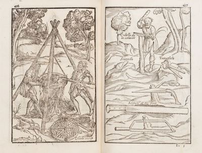 Le Vinti Giornate Dell'agricoltura Et De' Piaceri della Villa di M. Agostino Gallo
