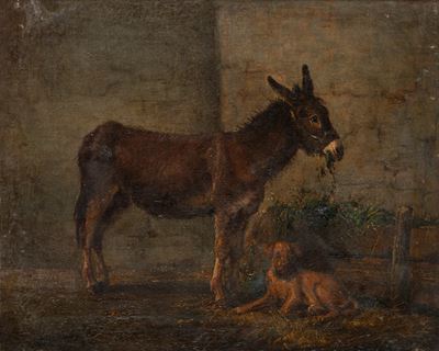 Asinello, olio su tela