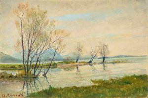 Il lago a Feriolo
