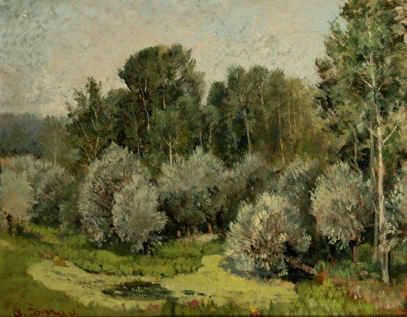 Piante e Aiuole (verso Feriolo)