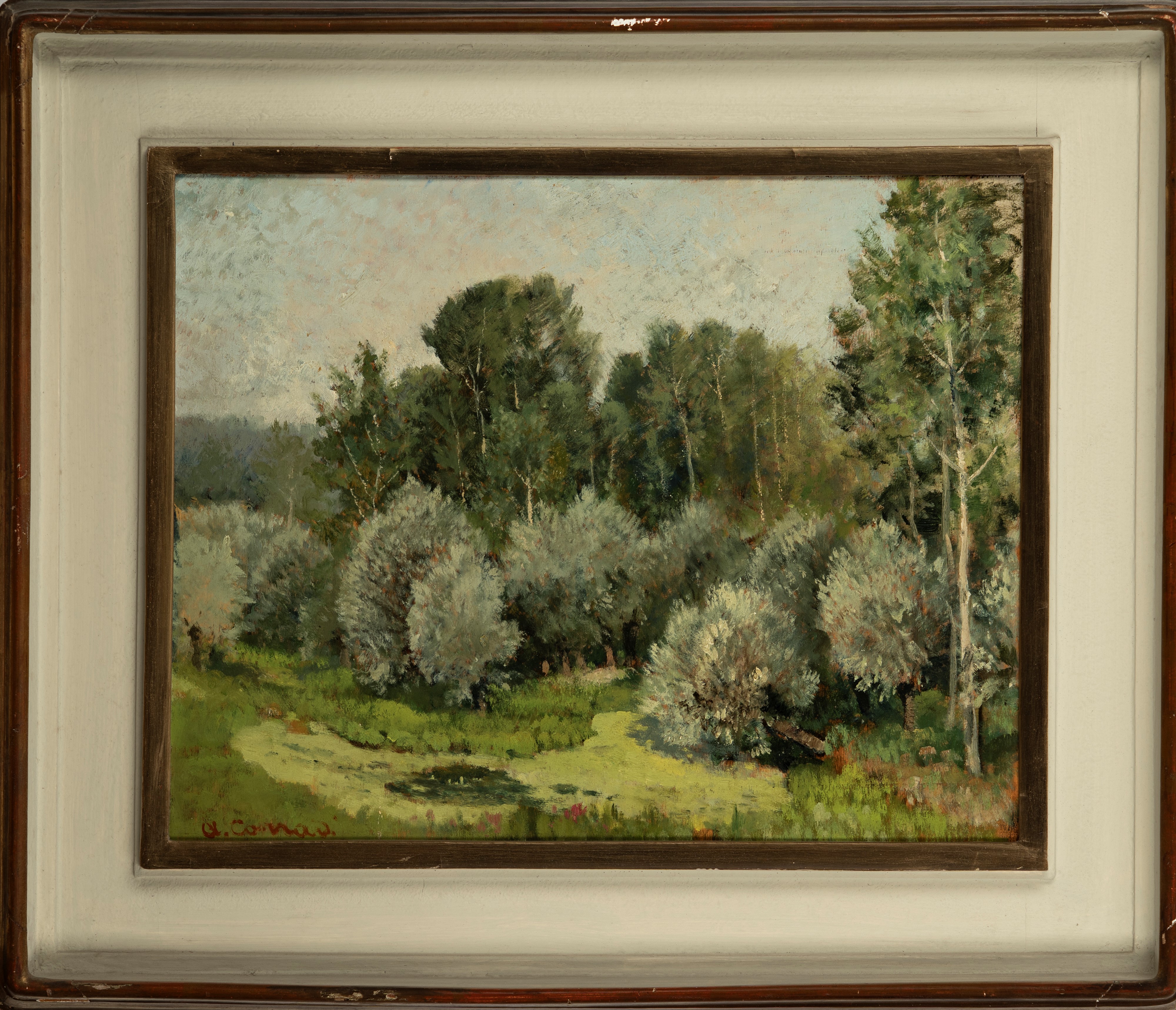Piante e Aiuole (verso Feriolo)