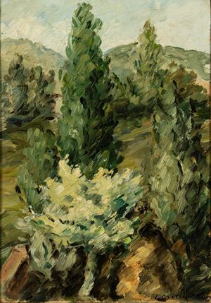 L'albero bianco