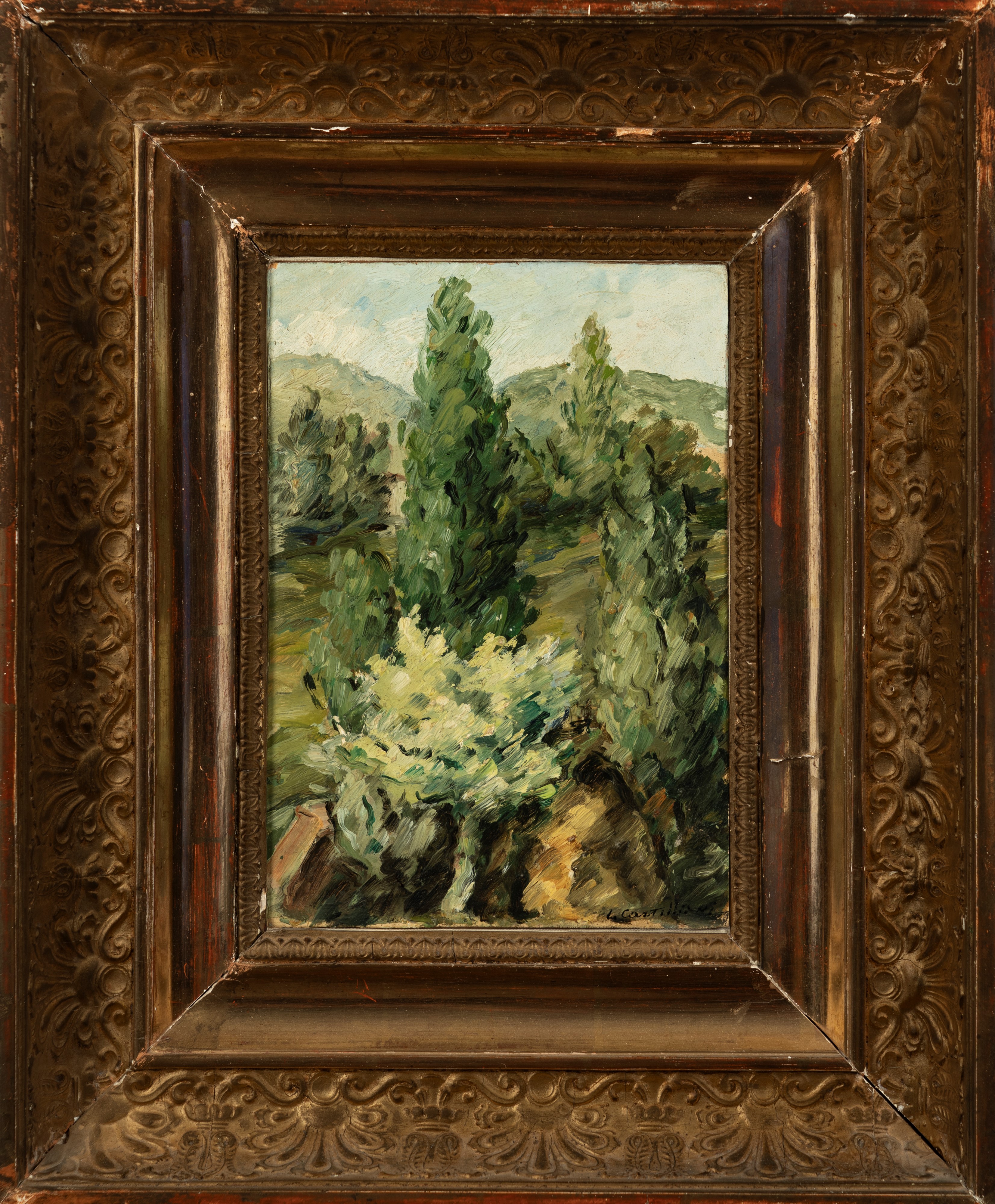 L'albero bianco