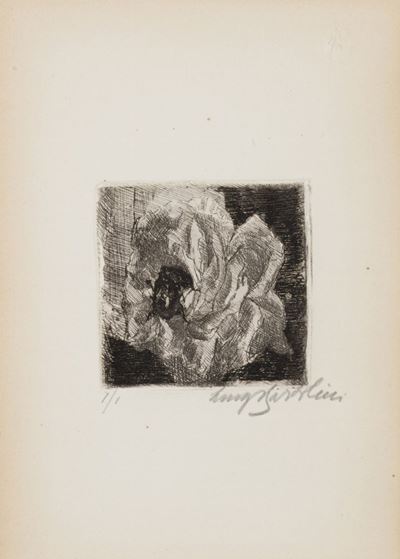 La Cetonia