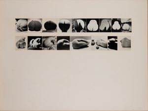 Sedici, sedici (La vie des formes)