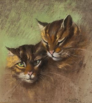 Coppia di gatti