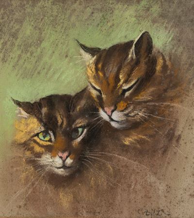 Coppia di gatti