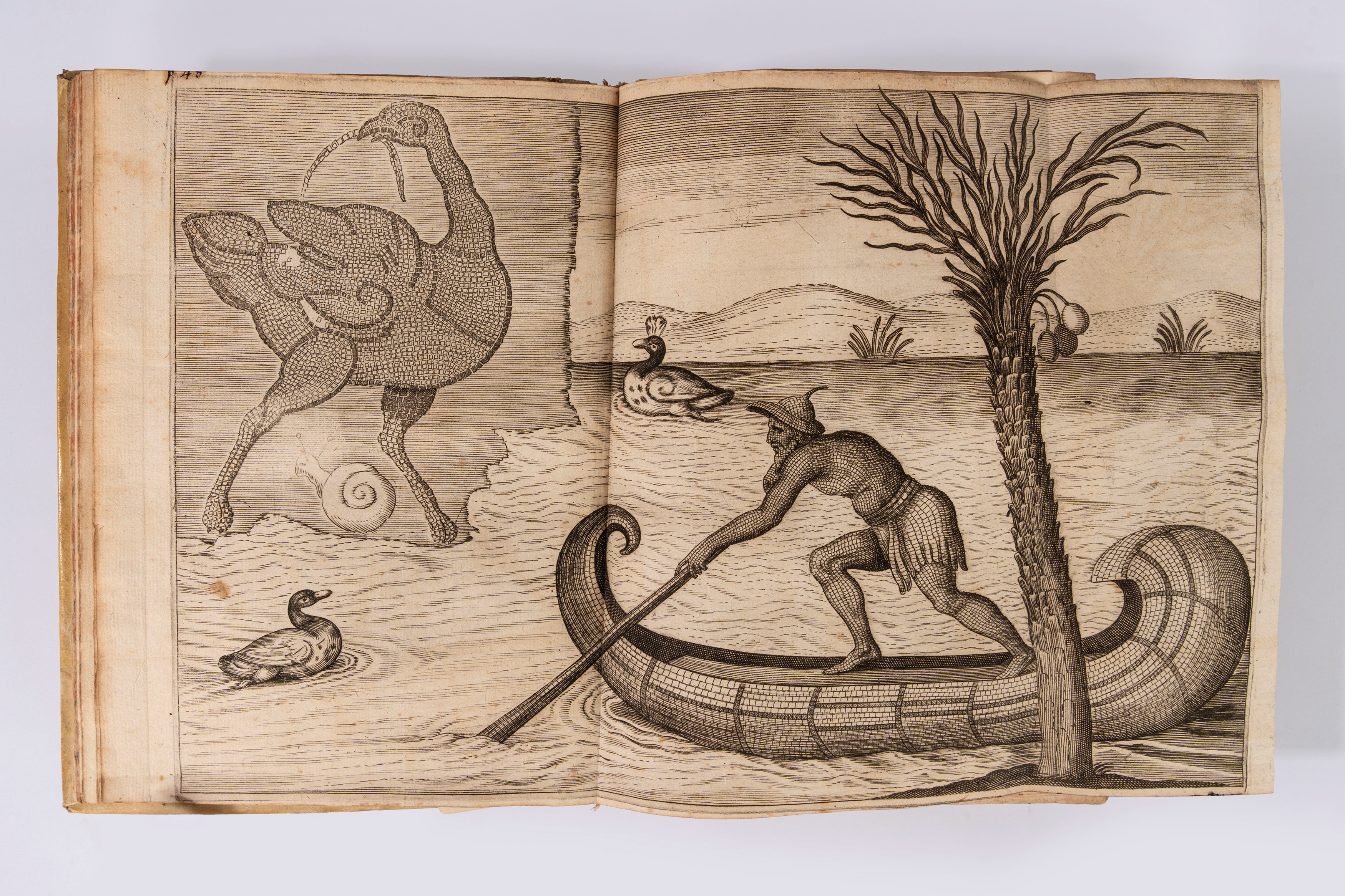 Joseph Marie Suares - Praenestes Antiquae Libri duo