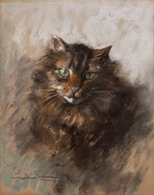 Il gatto fulvo
