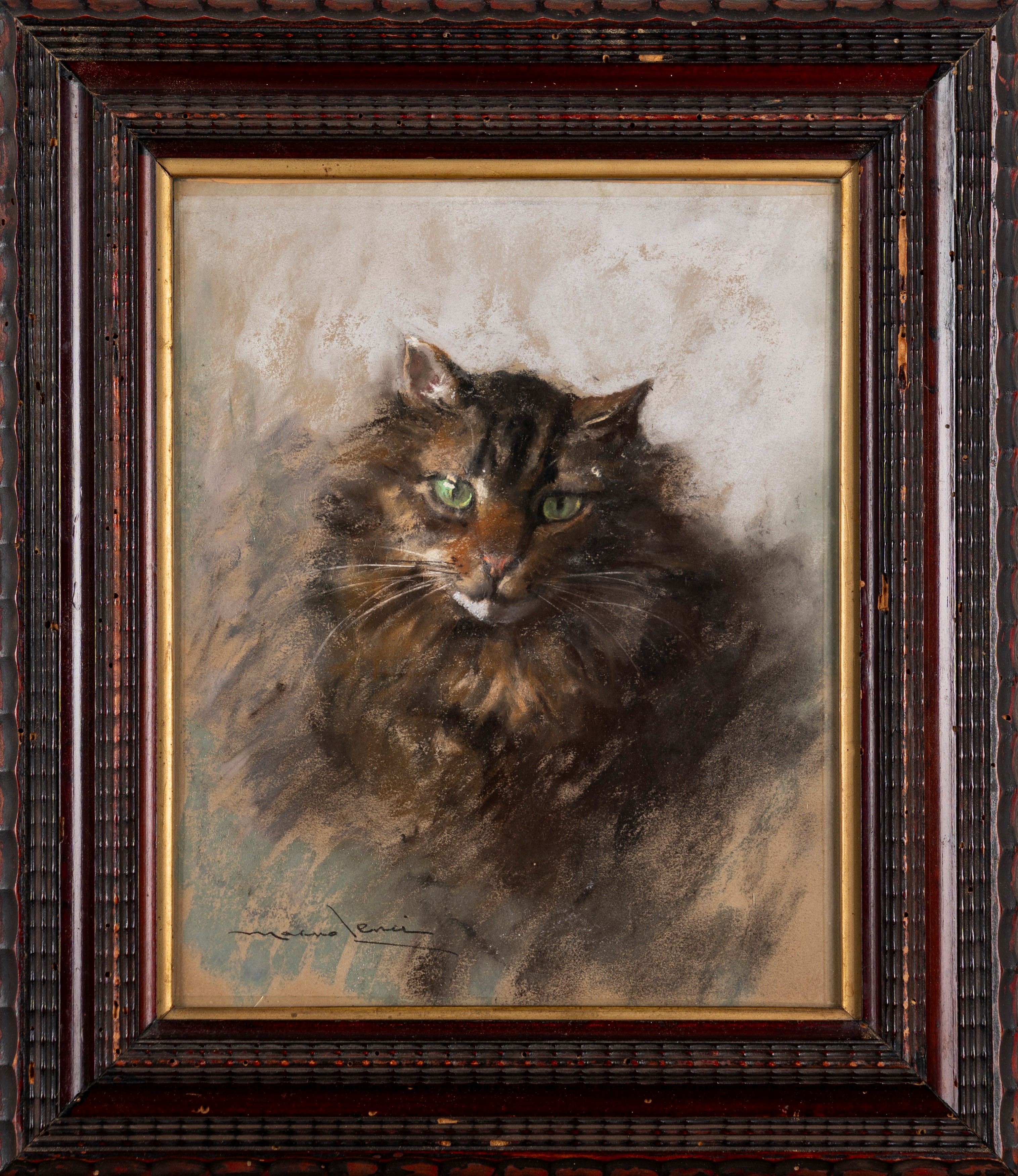Il gatto fulvo