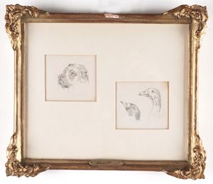 Studi per animali