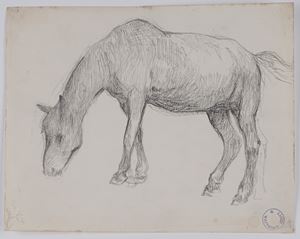 Cavallo