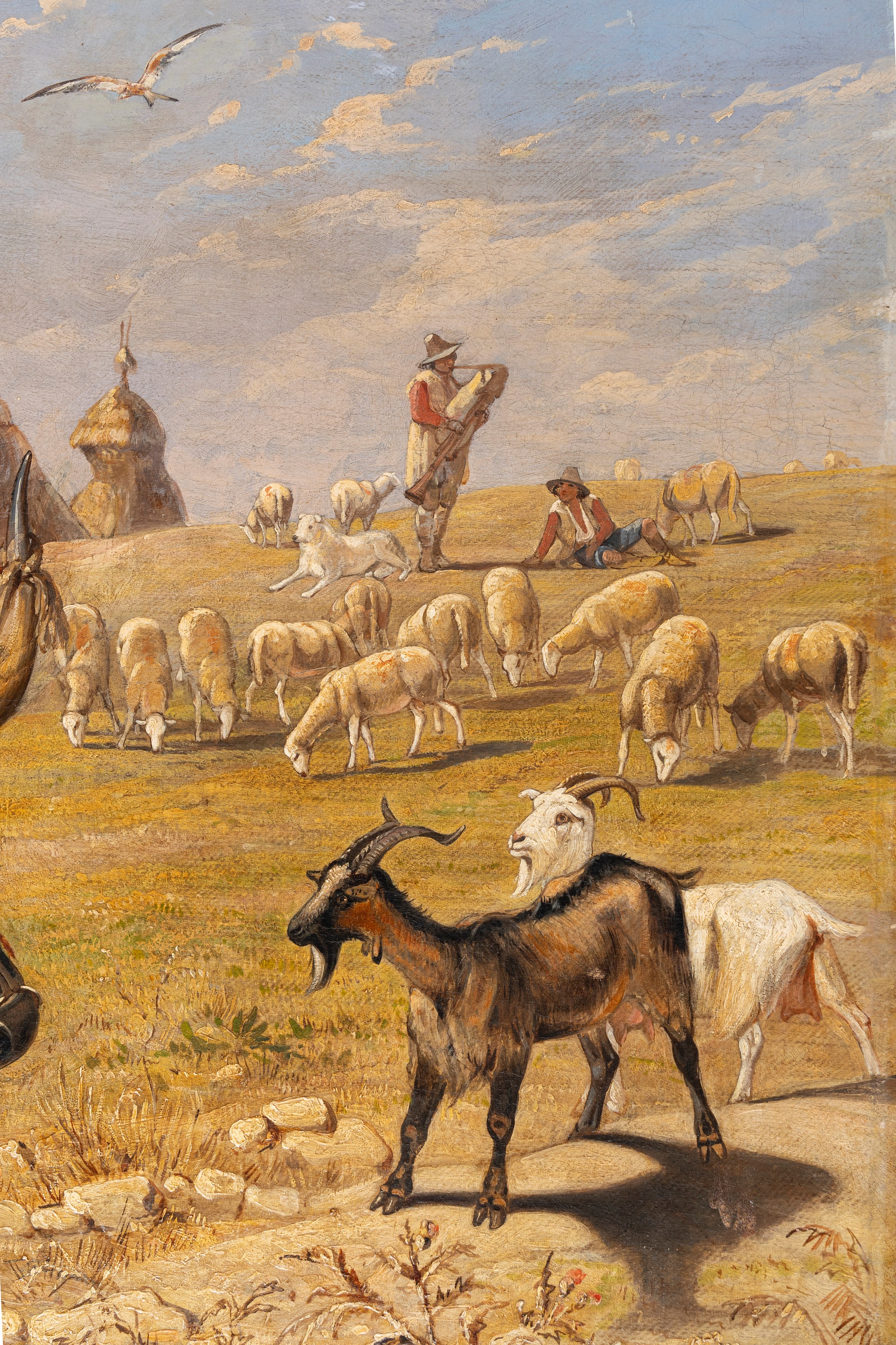 Charles Coleman - La sfilata dei buoi nella Campagna romana, olio su tela