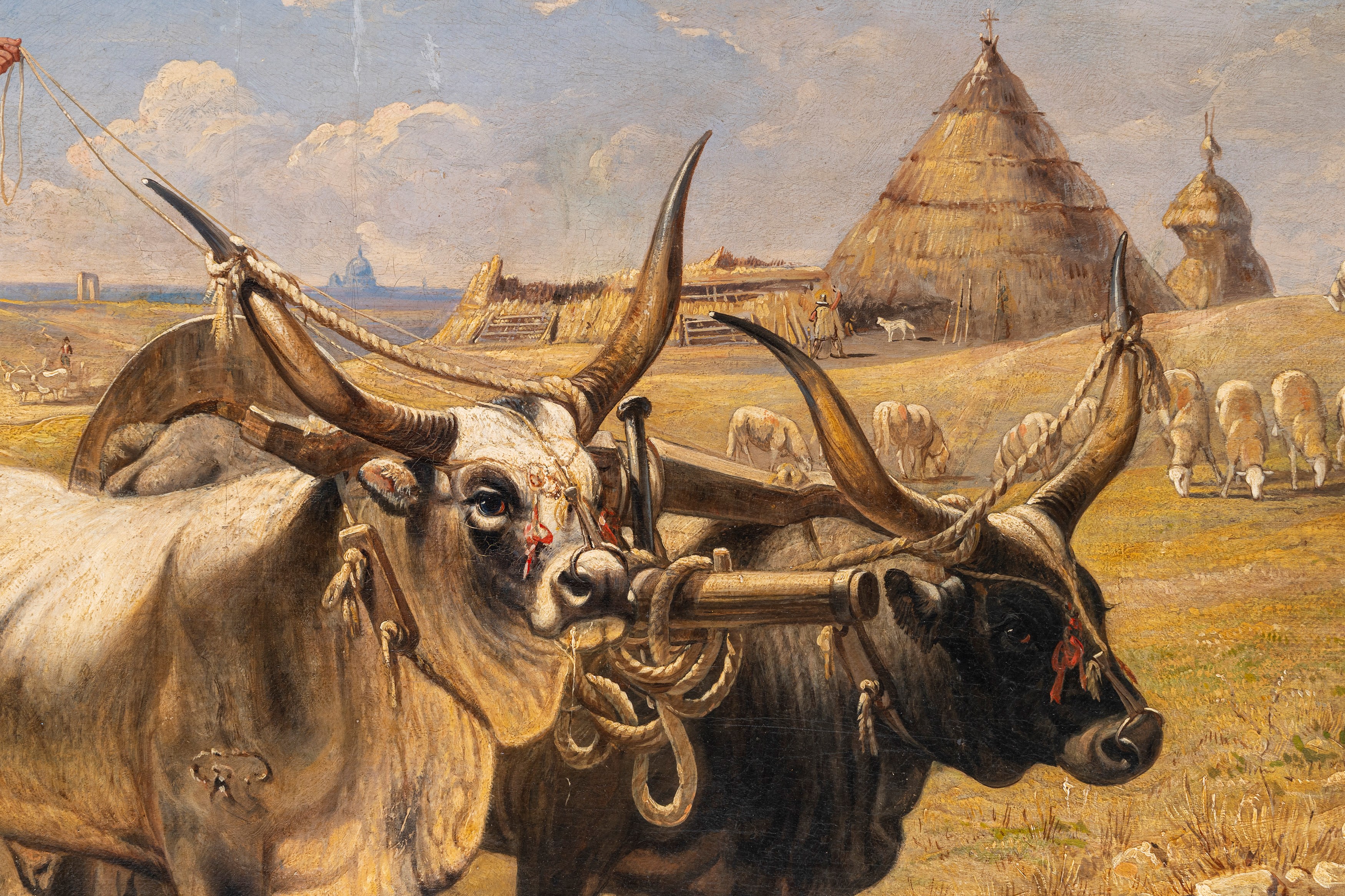 Charles Coleman - La sfilata dei buoi nella Campagna romana, olio su tela