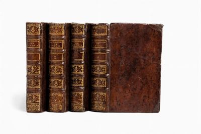 Dictionnaire De Chymie, Contenant la Theorie Et la Pratique De Cette Science, Son Application a l...
