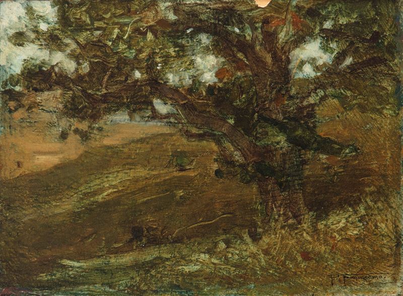 Quercia