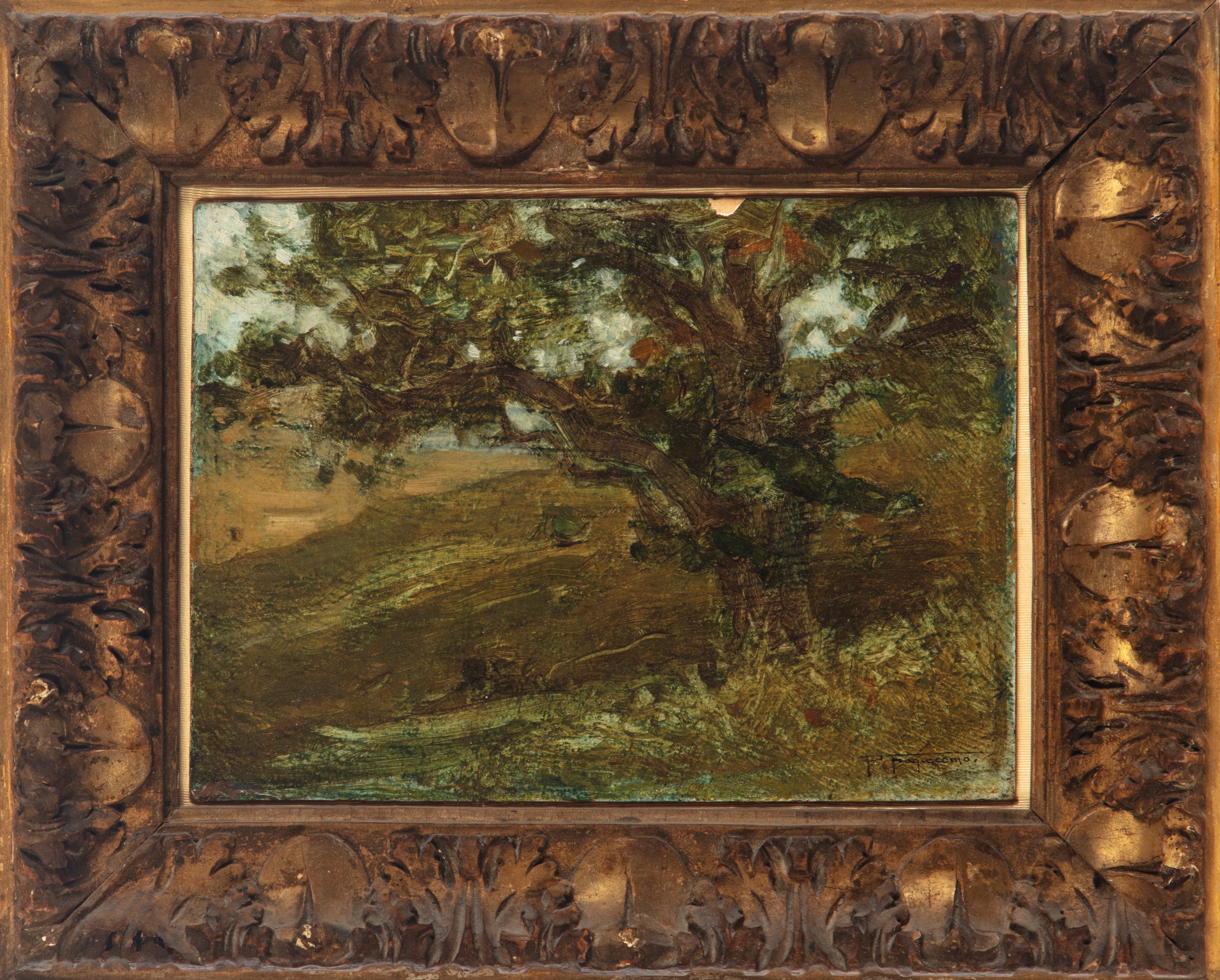 Quercia