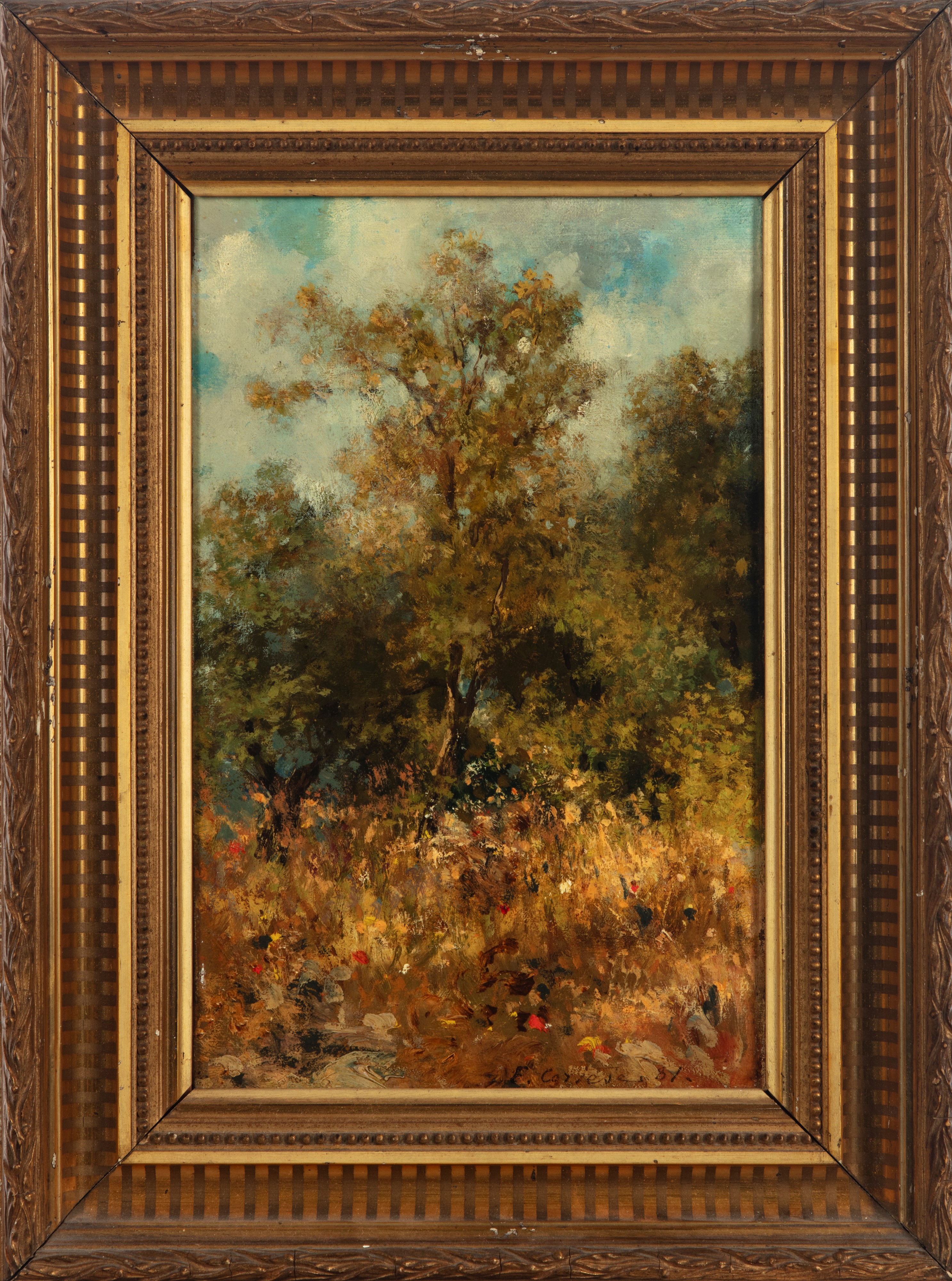 Il bosco