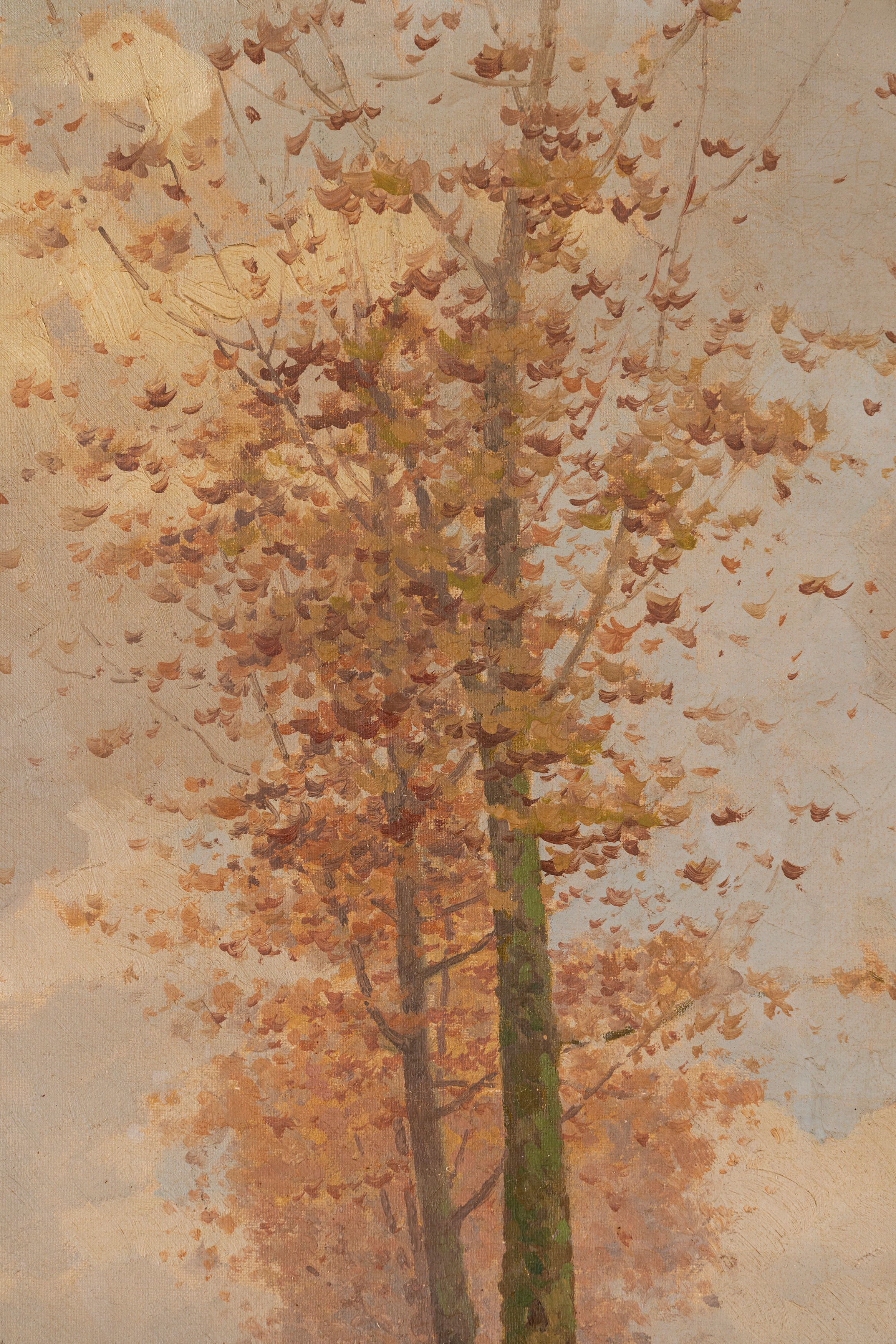 Aurelio Catti - Autunno nel viale alberato