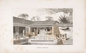 Monographie du thé, description botanique, torréfaction, composition chimique, propriétés hygiéniques de cette feuille.