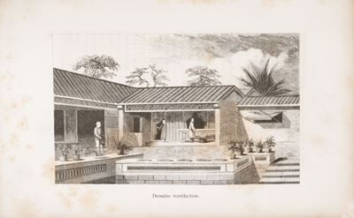Monographie Du Thé, Description Botanique, Torréfaction, Composition Chimique, Propriétés Hygiéni...